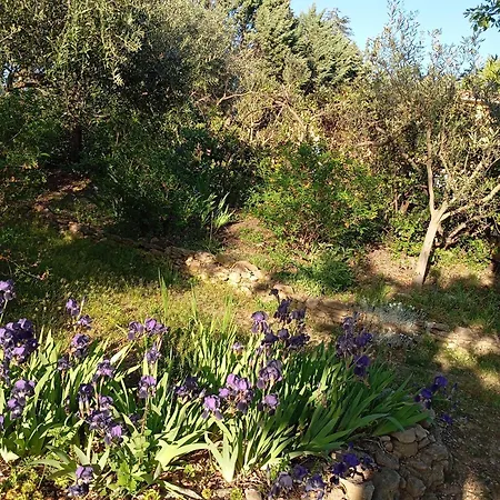 Proche Manosque Iter Cea Studio 25M2 Avec Piscine Maj 01 09 Piscine Encore Ouverte A Minima Pour 2 Semaines Eau 28 Degres Valensole