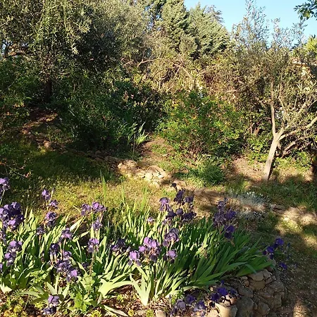 25m2 Avec Piscine Et Spa, Proche Iter Et Cadarache Valensole