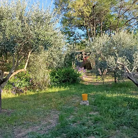 Proche Manosque Iter Cea Studio 25M2 Avec Piscine Maj 01 09 Piscine Encore Ouverte A Minima Pour 2 Semaines Eau 28 Degres *